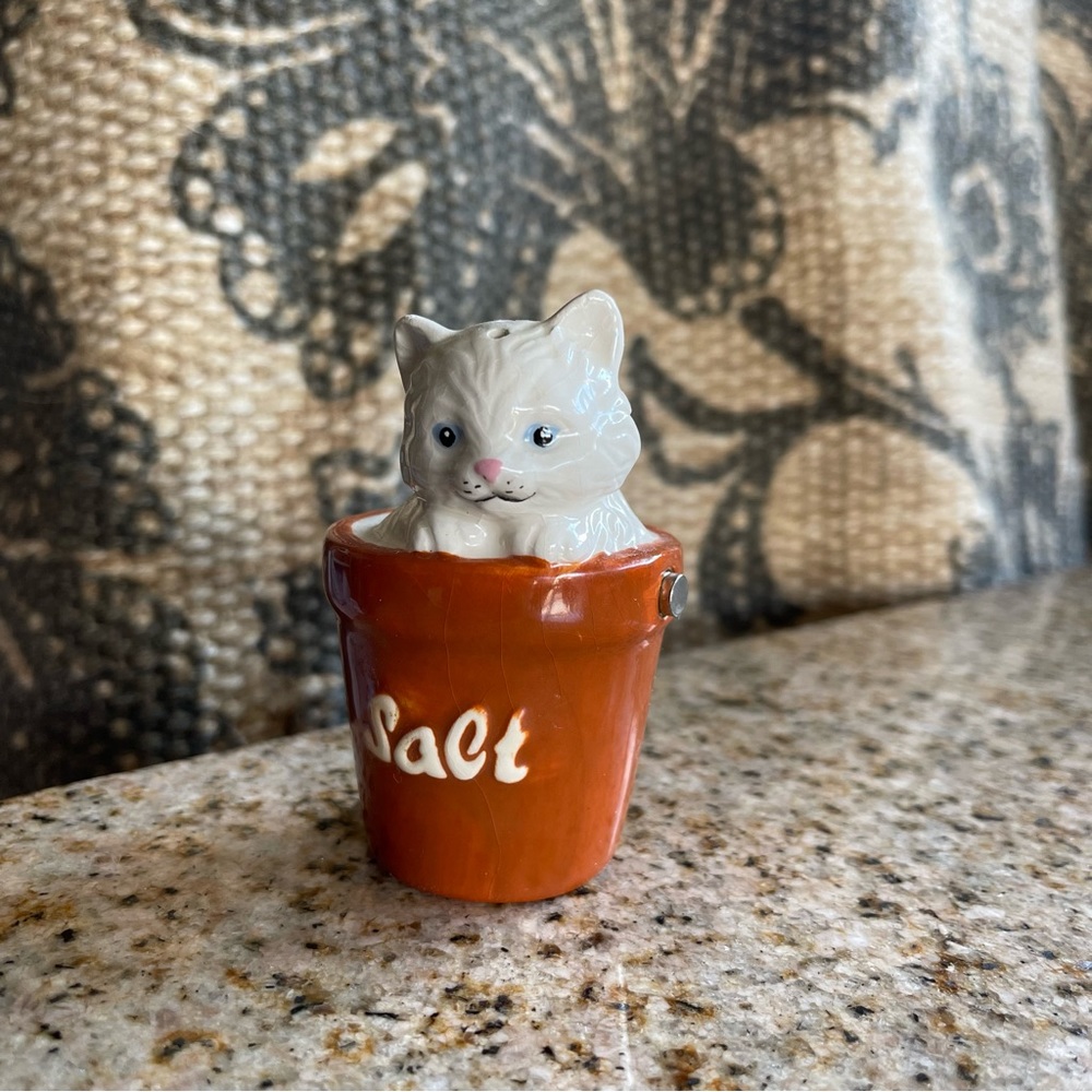Westland magnetic ceramic cat salt shakers